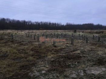 Фото №2: Фундамент 102